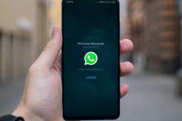 php whatsapp link