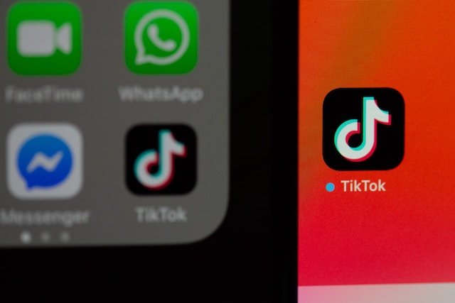 how to use tiktok in india iphone